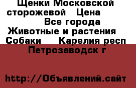 Щенки Московской сторожевой › Цена ­ 35 000 - Все города Животные и растения » Собаки   . Карелия респ.,Петрозаводск г.